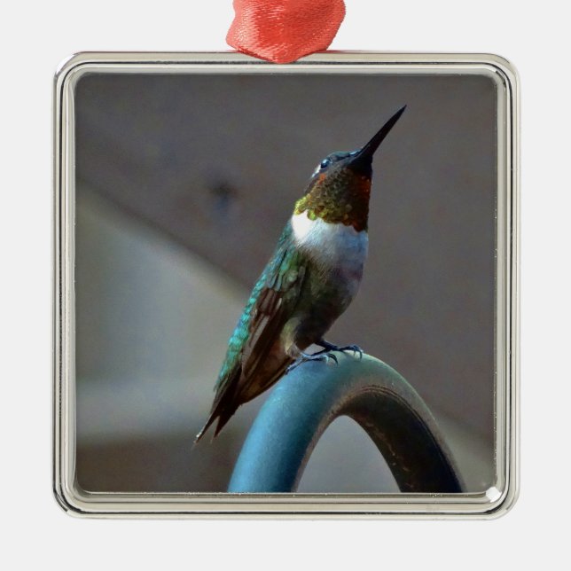Green Ruby little Hummingbird Metal Ornament (Front)