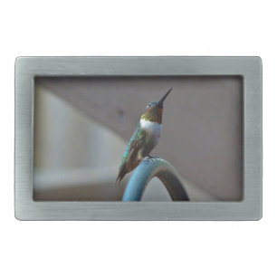 Green Ruby little Hummingbird Rectangular Belt Buckle