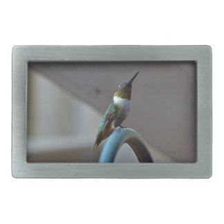 Green Ruby little Hummingbird Rectangular Belt Buckle