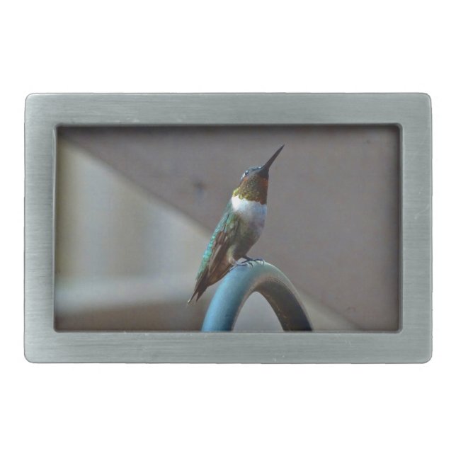 Green Ruby little Hummingbird Rectangular Belt Buckle (Front)