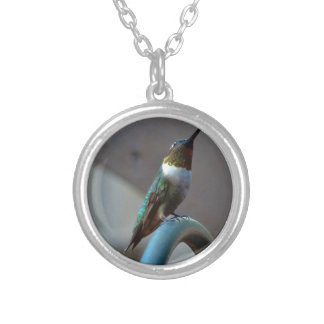 Green Ruby little Hummingbird Silver Plated Necklace