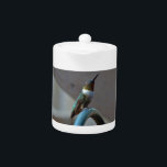 Green Ruby little Hummingbird Teapot<br><div class="desc">, Photo by Sandy Closs Hummingbird, Little bird with purple flowers. Rocky Mountain National Park, Colorado, USA adult, color, mountain, broad tailed hummingbird, bee balm, animal, garden flower, national park, forest, male, outdoor, flight, north america, nobody, pollination, reserve, action, rolf nussbaumer, concept, wildlife, flower, iridescent, nature, day, woodland, colorful, bird,...</div>