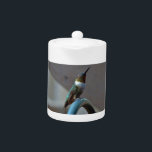 Green Ruby little Hummingbird Teapot<br><div class="desc">, Photo by Sandy Closs Hummingbird, Little bird with purple flowers. Rocky Mountain National Park, Colorado, USA adult, color, mountain, broad tailed hummingbird, bee balm, animal, garden flower, national park, forest, male, outdoor, flight, north america, nobody, pollination, reserve, action, rolf nussbaumer, concept, wildlife, flower, iridescent, nature, day, woodland, colorful, bird,...</div>