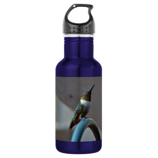 Green Ruby little Hummingbird Water Bottle