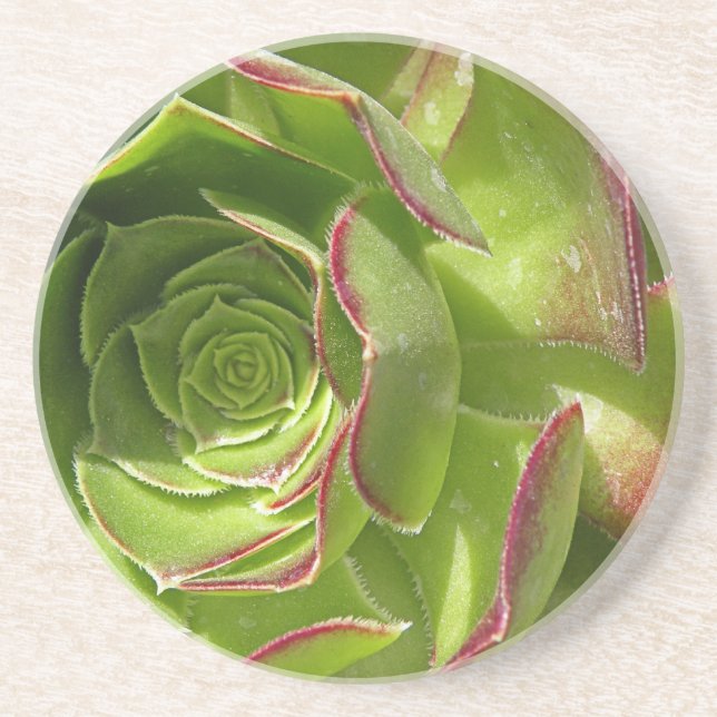 Green Sandstone Coaster (Front)