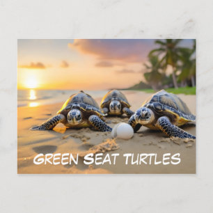 Green sea turles on beach with cracked egg postcard