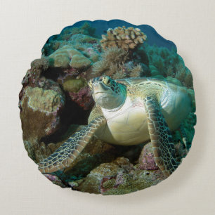Green Sea Turtle after resting among coral reef Round Pillow
