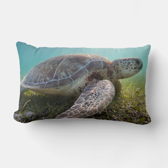 Green Sea Turtle At Dusk | Akumal Bay Lumbar Pillow (Front)