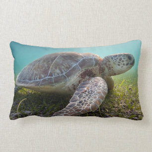 Green Sea Turtle At Dusk Akumal Bay Lumbar Pillow