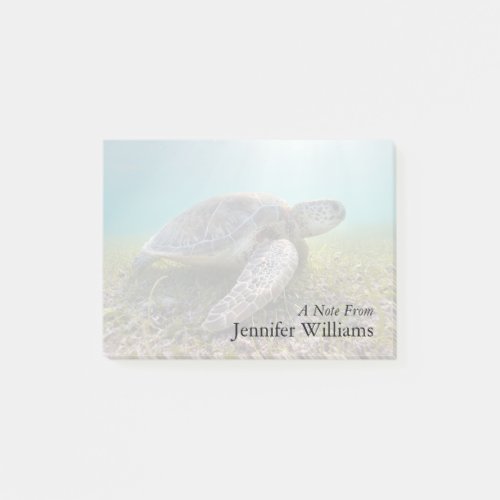Green Sea Turtle At Dusk  Akumal Bay Post_it Notes