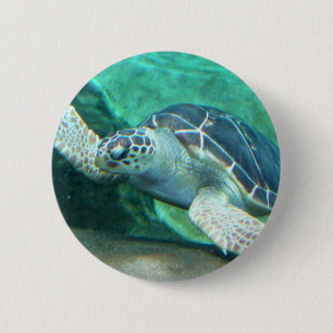 Green Sea Turtle Button