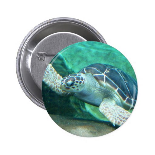 Green Sea Turtle Button | Zazzle