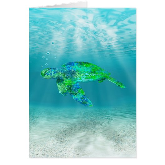 Green Sea Turtle Cards (Front)
