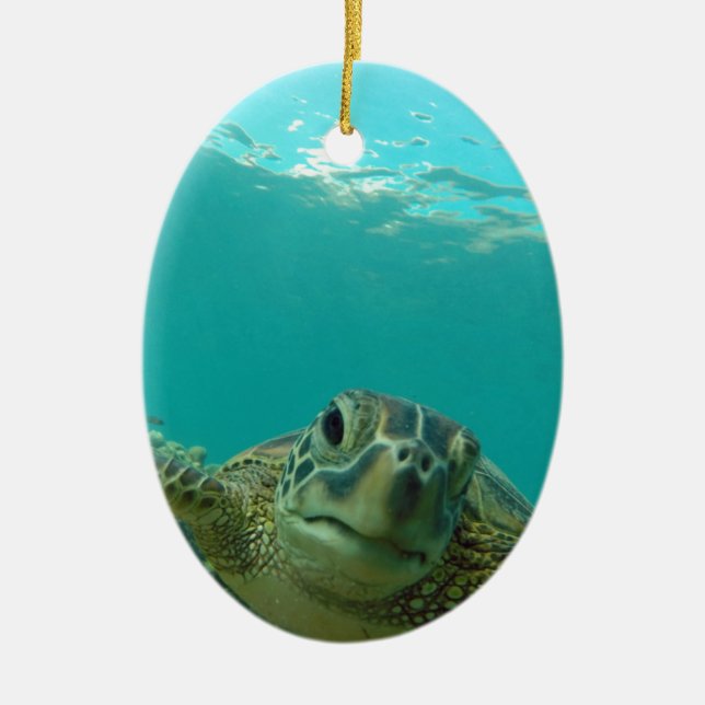 Green Sea Turtle Ceramic Ornament (Front)