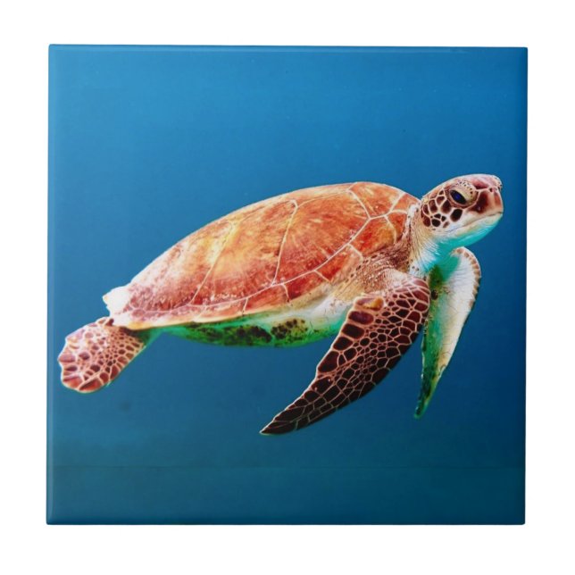Green Sea Turtle  Ceramic Tile (Front)