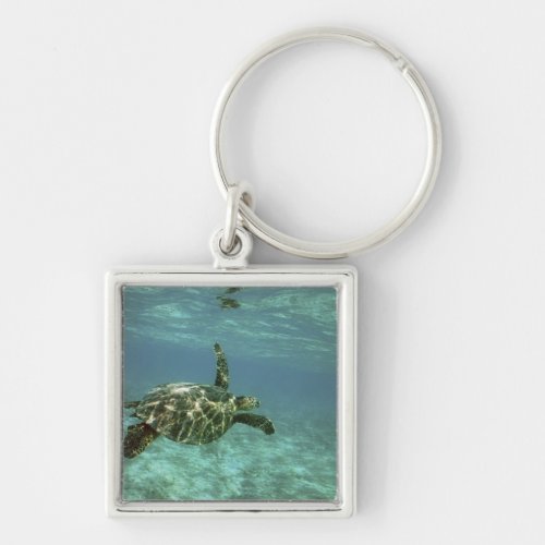 Green Sea Turtle Chelonia mydas Kona Coast Keychain