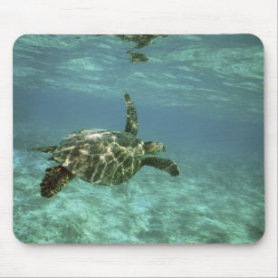 Green Sea Turtle, (Chelonia mydas), Kona Coast, Mouse Pad