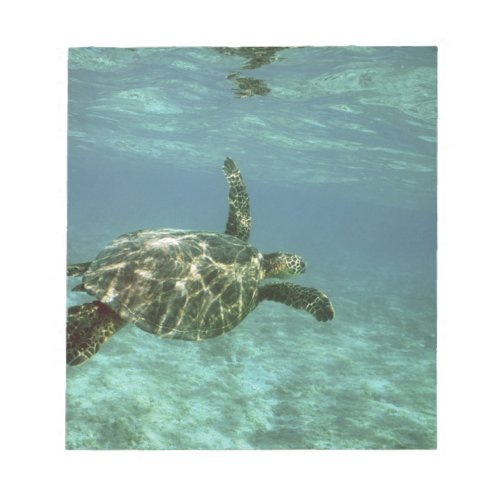 Green Sea Turtle Chelonia mydas Kona Coast Notepad