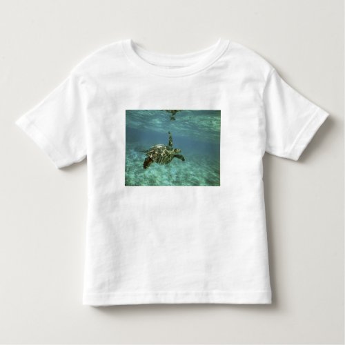 Green Sea Turtle Chelonia mydas Kona Coast Toddler T_shirt