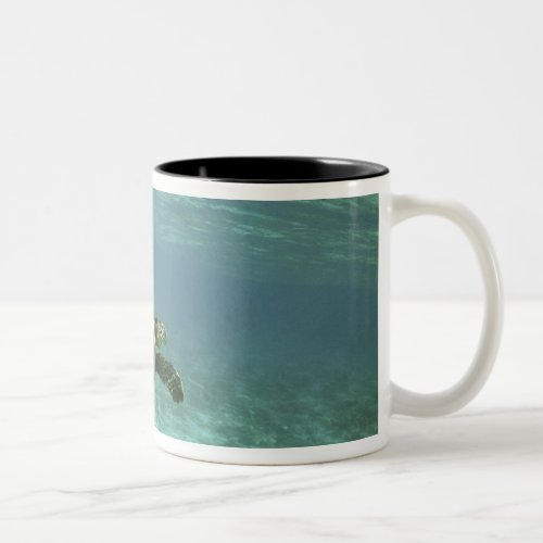 Green Sea Turtle Chelonia mydas Kona Coast Two_Tone Coffee Mug