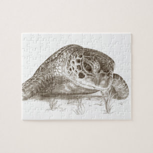 Green Sea Turtle Drawing Jigsaw Puzzle