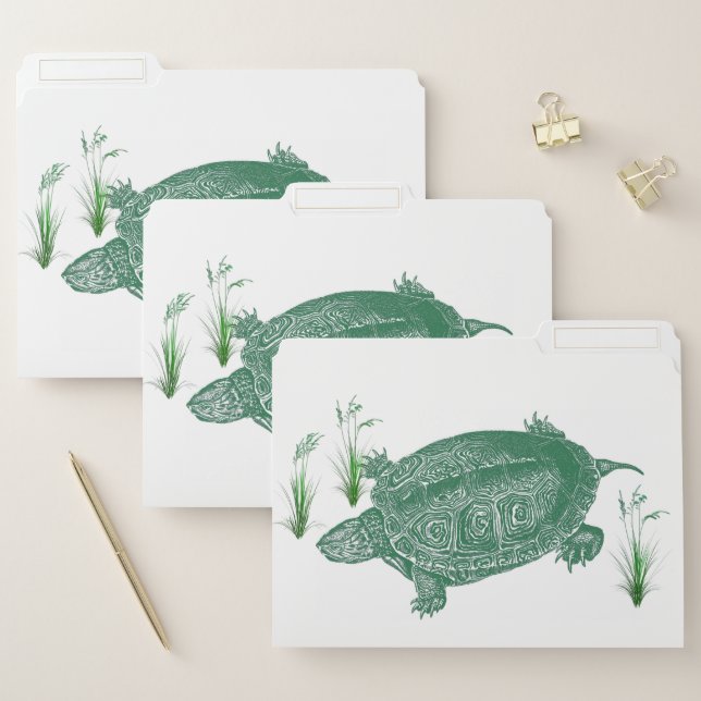 Green Sea Turtle File Folder (Set)