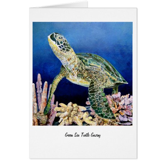 Green Sea Turtle Gazing Cards (Front)