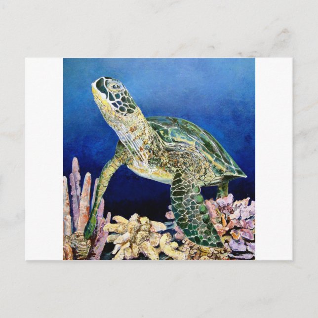 Green Sea Turtle Gazing Postcard (Front)