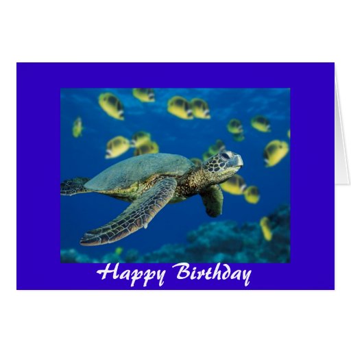 Green Sea Turtle, Happy Birthday Card | Zazzle