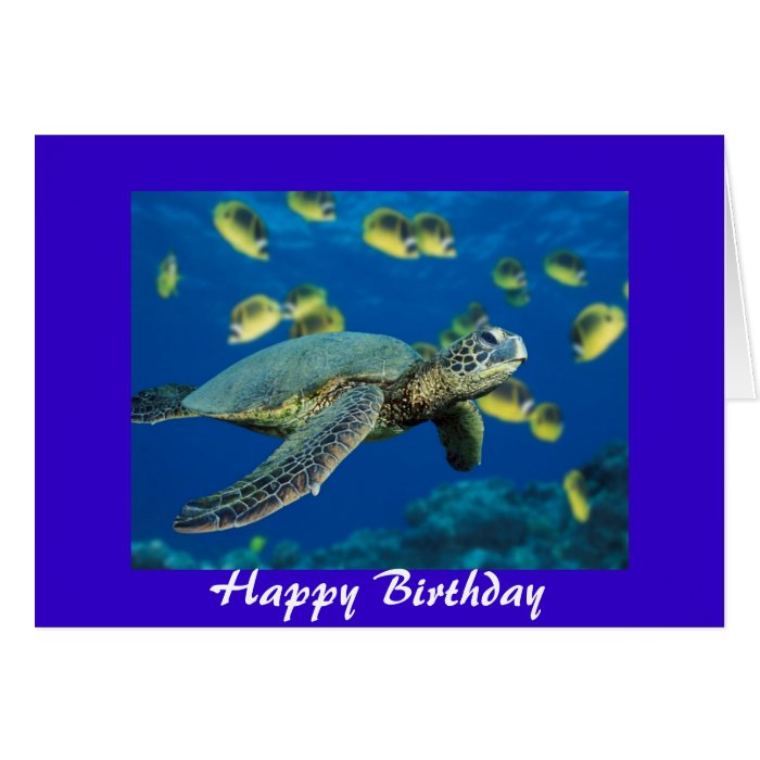 Green Sea Turtle, Happy Birthday Card