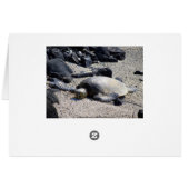 Green Sea Turtle, Hawaii, Card (Back Horizontal)