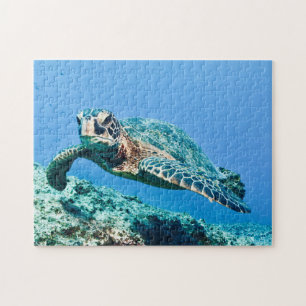 Green Sea Turtle in Blue Ocean Water Jigsaw Puzzle