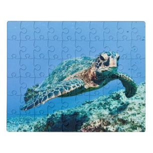 Green Sea Turtle in Blue Sea Water Jigsaw Puzzle