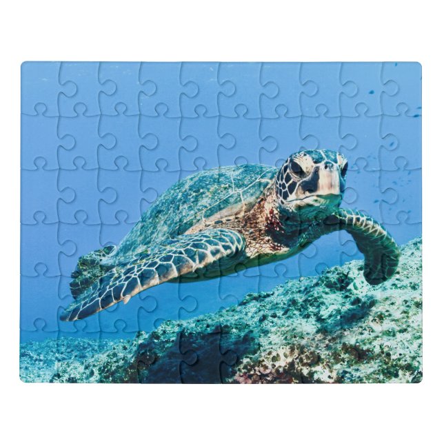 Green Sea Turtle in Blue Sea Water Jigsaw Puzzle (Puzzle Horizontal)