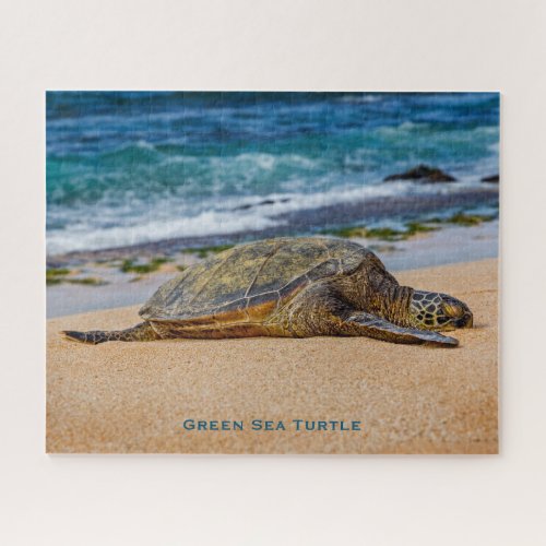 Green Sea Turtle Jigsaw Puzzle