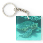 Green Sea Turtle Keychain