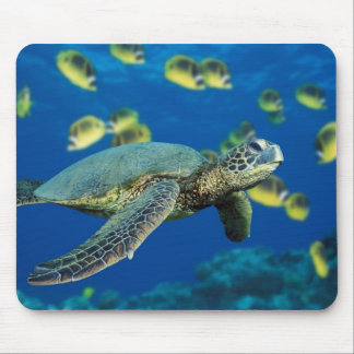 Green Sea Turtle Mouse Pad