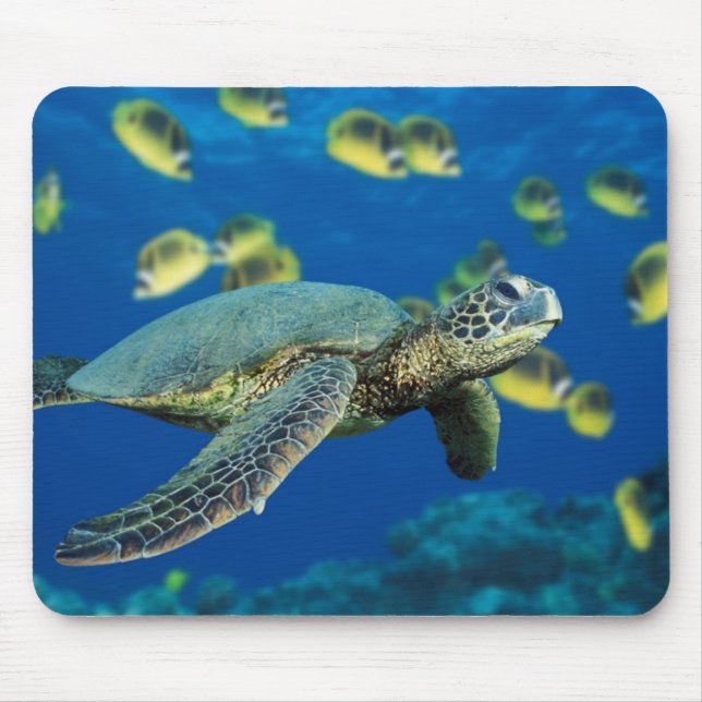 Green Sea Turtle Mouse Pad (Front)