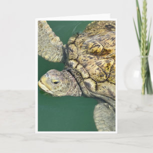 Green Sea Turtle Note Card <Blank Card>