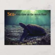 Green sea turtle on ocean floor