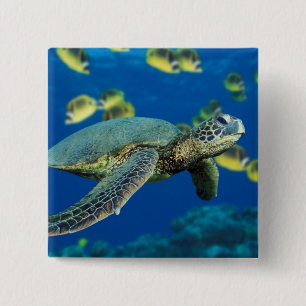 Green Sea Turtle Pinback Button