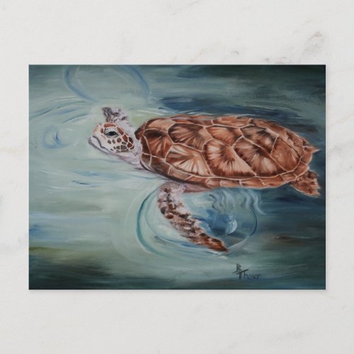 Green Sea Turtle Post Card
