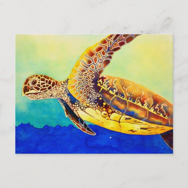 green sea turtle postcard (Front)