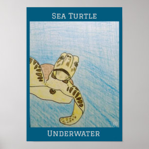 Green Sea Turtle Poster