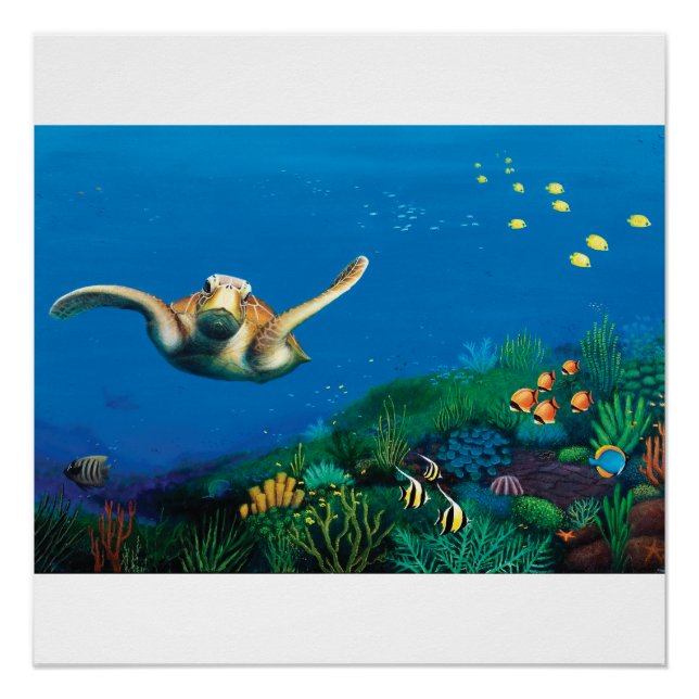 Green Sea Turtle Poster Print (Front)