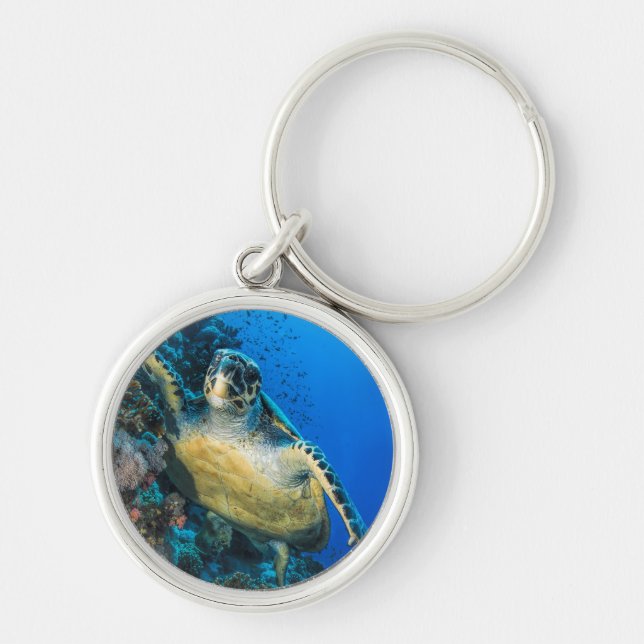 Green Sea Turtle | Red Sea Keychain (Front)
