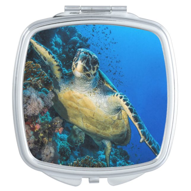 Green Sea Turtle | Red Sea Makeup Mirror (Front)