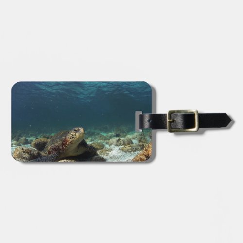 Green sea turtle relaxing underwater lagoon luggage tag