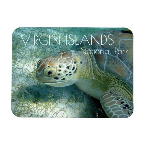 Green Sea Turtle Sea Plants Virgin Islands NP Magnet