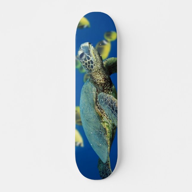 Green Sea Turtle Skateboard Deck (Front)
